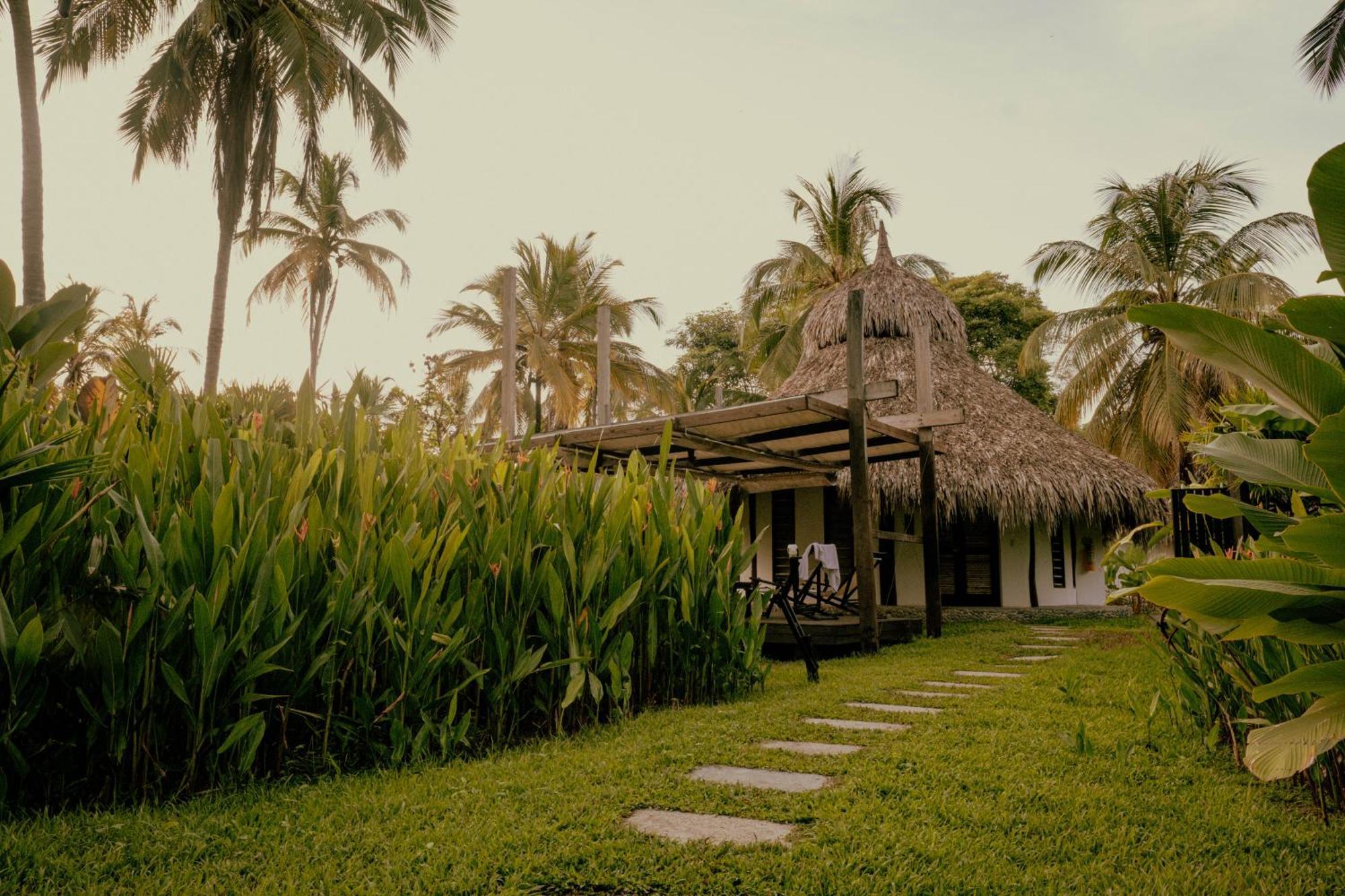 Viajero Tayrona Hostel & Ecohabs Buritaca Dış mekan fotoğraf